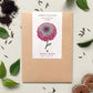 Ein Päckchen Jora Dahl | Zinnia elegans 'Queen Red Lime' (Zinnie) ruht zwischen grünen Blättern und Erde, mit einer detaillierten rosa und grünen Zinnien-Illustration - ideal für Liebhaber einjähriger Blumen.