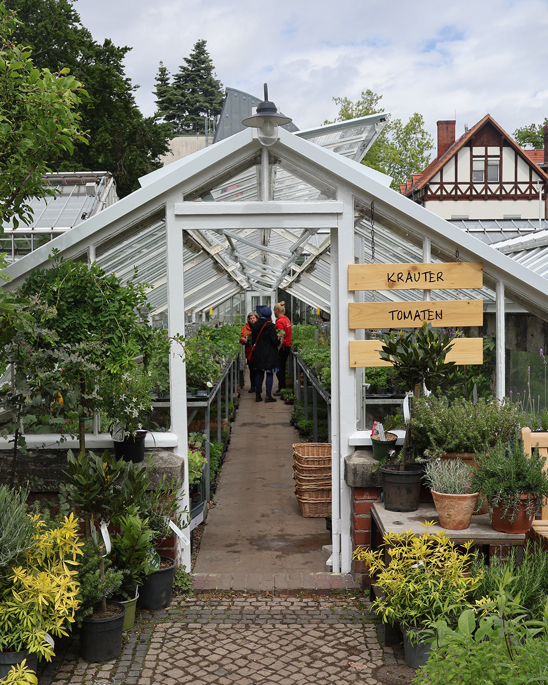 In einem lebendigen Gewächshaus mit Kräuter- und Tomatenschildern erkunden Menschen Körbe mit Pflanzen - der perfekte Ort für Dr. Cathrine Thorpes WORKSHOP "Aus eigener Anzucht: selbst Pflanzen vermehren" am Sa. 21.03.2026, 14-16 Uhr.