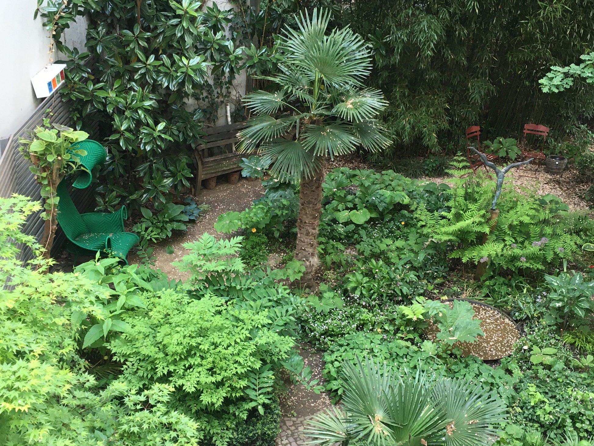 Entdecken Sie die Geheimnisse eines üppigen Schattengartens mit Dr. Isabelle Van Groeningen's "Mi. 18.02.2026 | 13.30-16.30 HALBTAGESKURS") - lernen Sie, wie Sie in Ihrer eigenen Gartenoase dichtes Grün, einladende Sitzplätze und verschlungene Wege anlegen!.