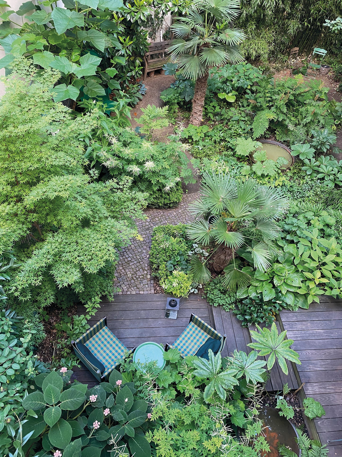 Lassen Sie sich von einem üppigen Schattengarten inspirieren: dichtes Grün, Palmen, blaugrüne Stühle mit gestreiften Kissen an einem runden Tisch auf einer Holzterrasse und einem gewundenen Steinweg - perfekt für Dr. Isabelle Van Groeningens 18.02.2026 Schattengarten-Workshop!.