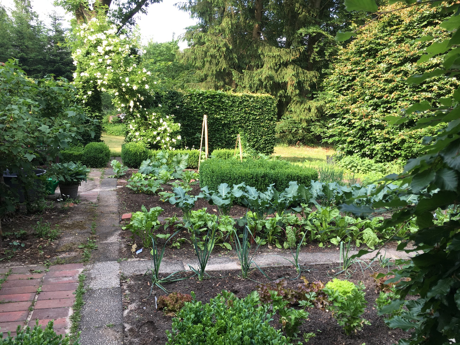 Ein üppiger Gemüsegarten mit aufgeräumten Beeten, gemauerten Kieswegen und einem weiß blühenden Bogen inspiriert alle, die Gärten gestalten - entdecken Sie mehr beim HALBTAGESKURS "Der Garten als Lebensraum" von Gabriella Pape am Mi. 18.02.2026, 09.30-12.30 Uhr!.