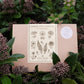 Eine Schachtel mit Jora Dahl | Urban Cut Flowers von Jora Dahl liegt inmitten von grünem Laub und rosa Schnittblumen, auf deren Vorderseite botanische Blumenskizzen abgebildet sind.