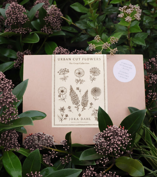 Eine Schachtel mit Jora Dahl | Urban Cut Flowers von Jora Dahl liegt inmitten von grünem Laub und rosa Schnittblumen, auf deren Vorderseite botanische Blumenskizzen abgebildet sind.