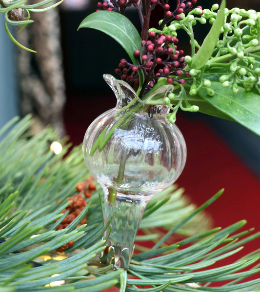 Eine klare Klemmvase aus dem 6er Set der Königlichen Gartenakademie in Form einer kleinen Vase hängt mit grünen Blättern und dunkelroten Beeren an einem Kiefernzweig vor einem verschwommenen roten und dunklen Hintergrund.