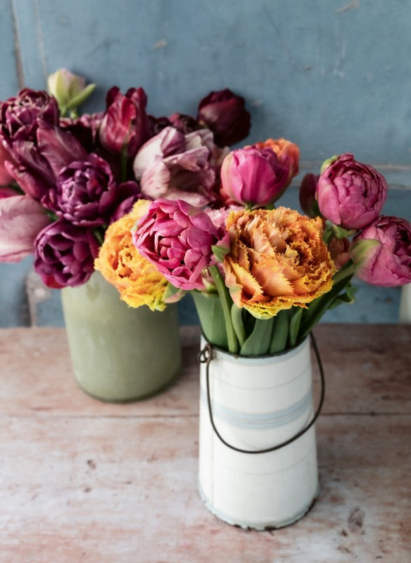 Zwei Tulpenglück-Vasen des Callwey Verlags, gefüllt mit leuchtenden Blumen, darunter tiefviolette Tulpen und gelb-orangefarbene Blüten, stehen auf einer rustikalen Holzoberfläche vor einem strukturierten blauen Hintergrund.