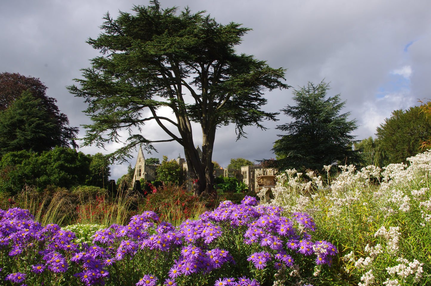 Ein großer Baum erhebt sich inmitten üppiger Gärten, die von "Die Gartenpracht von Kent und Sussex" (Di. 17.02.2026 | 14:30-15:30, Dr. Isabelle Van Groeningen) inspiriert sind, mit leuchtenden Blumen und Steinruinen unter einem bewölkten Himmel.