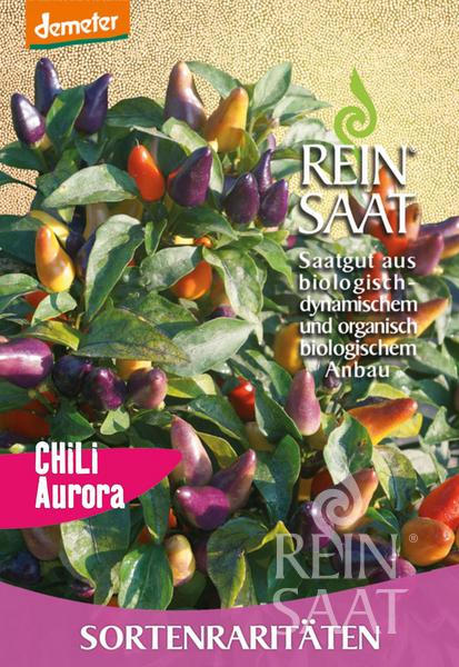 Eine Packung Reinsaat - Chili 'Aurora'-Samen zeigt die Capsicum annuum-Pflanze mit kleinen, bunten Chilischoten und trägt den Text „Chili Aurora“ und „Sortenraritäten“.