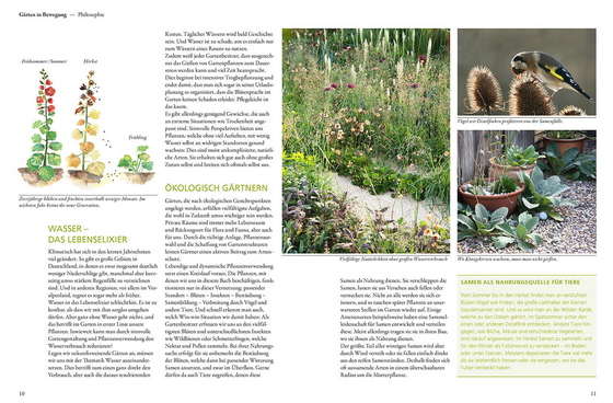 Eine Doppelseite aus "Der antiautoritäre Garten" vom Kosmos Verlag zeigt links Text und beschriftete Pflanzenabbildungen, rechts Fotos von trockenheitsresistenten Naturgärten, Topfpflanzen und Gartenszenen in einem klaren Layout mit grünen Akzenten.