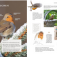 Eine Doppelseite aus "Das Buch der Gartenvögel" vom Kosmos Verlag mit Rotkehlchen-Fotos auf Ästen und Futterhäuschen, einer Illustration, deutschen Fakten über Rotkehlchen, ihr Verhalten und Gartenführer-Tipps.