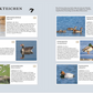 Eine Doppelseite aus Das Buch der Gartenvögel vom Kosmos Verlag zeigt Fotos und Infos zu Schwänen, Enten und Gänsen mit Textfeldern und Vogelsymbolen auf hellblauem Hintergrund - ideal für Fans von Gartenführern oder Gartenvögeln.