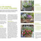 Ein deutsches Magazin stellt den Wilden Kübel des Kosmos Verlags vor und gibt Gartentipps für sonnige Terrassen. Drei Fotos zeigen bunte, insektenfreundliche Kübelpflanzen. Text und Aufzählungspunkte bieten Expertenrat und Pflanzenvorschläge.