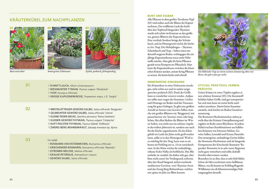Eine Doppelseite aus dem Gartenbuch "Wilde Kübel" des Kosmos Verlags zeigt auf der linken Seite Fotos von insektenfreundlichen Kräutertöpfen und auf der rechten Seite Texte über Kräuter, Bienen, Wildstauden und Begleitpflanzen. Eine Biene sitzt auf einer lila Blüte.