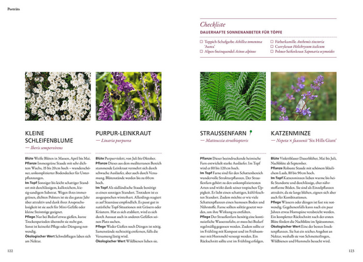 Eine Doppelseite aus dem Buch "Wilde Kübel" des Kosmos Verlags zeigt insektenfreundliche Pflanzenbeschreibungen, Farbfotos von Wildstauden, Farnen, weißen und lila Blüten sowie Pflegetipps und eine Checkliste für sonnige Balkonpflanzen im Topf.
