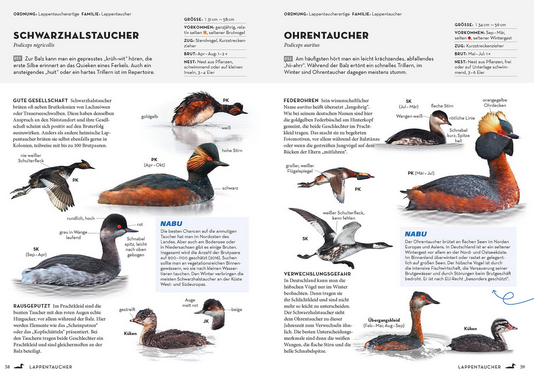 Das NABU-Vogelbuch