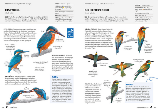 Das NABU-Vogelbuch
