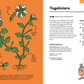 Eine illustrierte Seite aus "Wilde Pflanzen essen" vom Kosmos Verlag zeigt links ein beschriftetes Vogelmiere-Diagramm mit botanischen Informationen und rechts ein Suppenrezept mit einem Cartoon-Kind, das die Suppe probiert. Die Überschrift lautet "Vogelmiere" auf Deutsch.