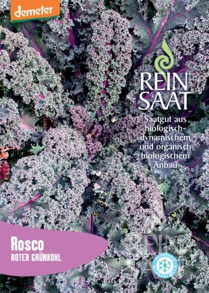 Samenpaket Reinsaat | Grünkohl 'Rosco' (Brassica oleracea var. sabellica) von Reinsaat, mit auffälligen rot-grünen Grünkohlblättern, deutschem Text, Bio-Logos - ideal für den Anbau von schmackhaftem Wintergrünkohl.