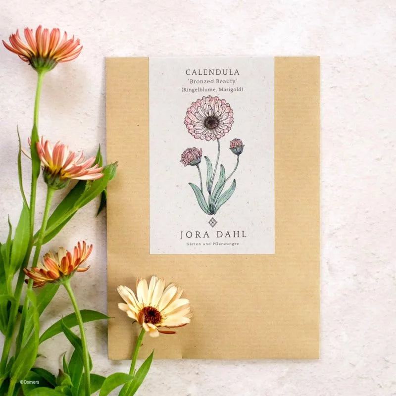 Eine Packung Jora Dahl - Calendula 'Bronze Beauty' (Ringelblume) Samen mit einer floralen Illustration, neben blühenden pfirsichfarbenen Calendula-Blüten auf einer leicht strukturierten Oberfläche - ideal für die Verwendung als Schnittblumen.