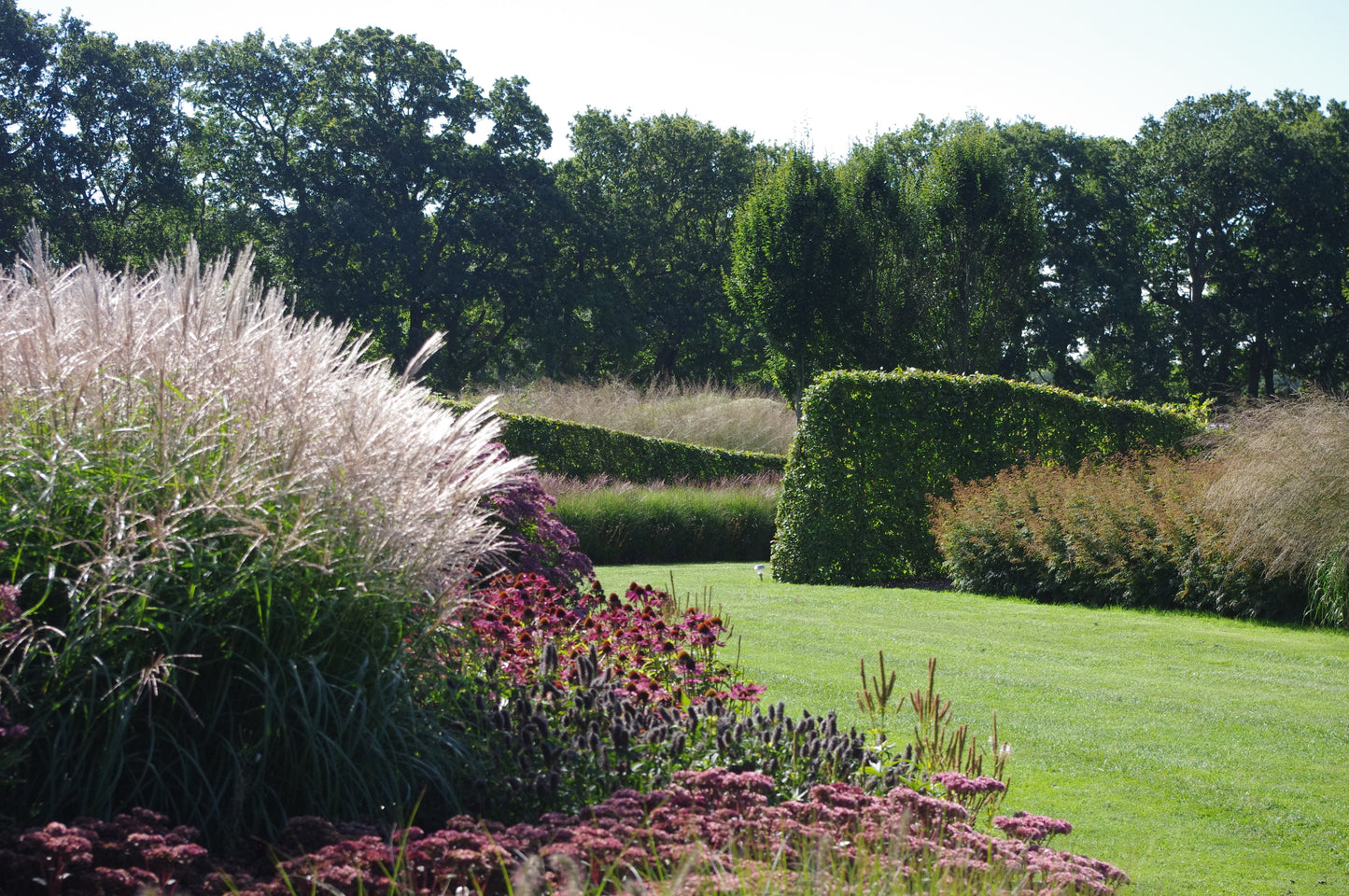 Erleben Sie die Schönheit der Gärten von Kent und Sussex mit Dr. Isabelle Van Groeningen beim AFTERNOON-TEA-VORTRAG "Die Gartenpracht von Kent und Sussex" am Di., 17.02.2026, 14:30-15:30 Uhr - üppige Rasenflächen, grüne Hecken, leuchtende Blüten erwarten Sie!.