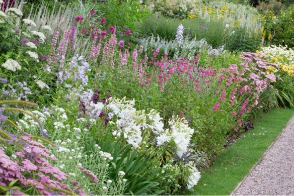 Ein lebendiges Gartenbeet mit farbenfrohen Blüten neben grünem Rasen und Kiesweg zeigt eine fachkundige Gartenplanung, inspiriert von "Blütenpracht - der Weg zum Traumgarten" aus dem Callwey Verlag.