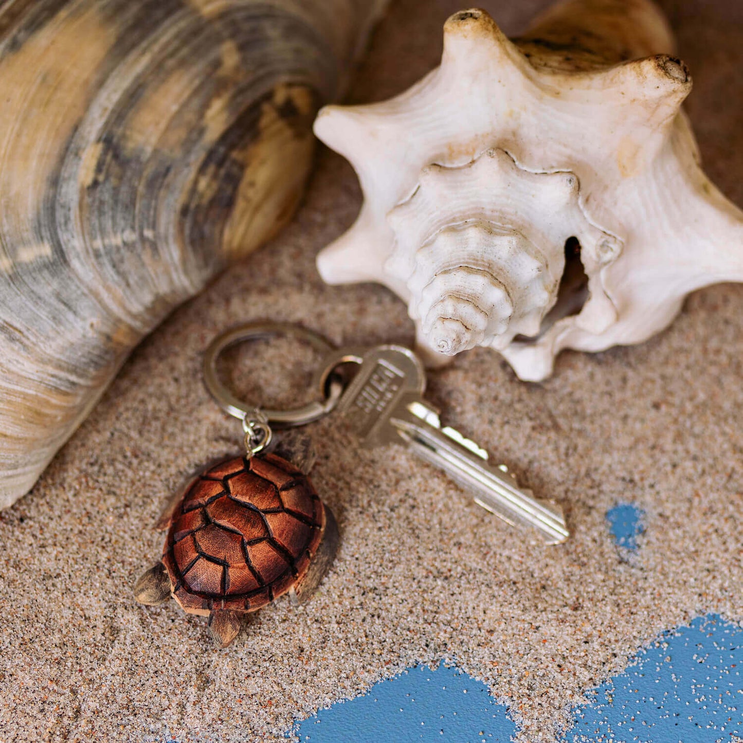 Ein Schlüsselbund mit dem Wildlife Garden Handgefertigter Schlüsselanhänger aus Holz | Schildkröte ruht auf sandigem Boden neben zwei großen Muscheln - eine spiralförmig, eine glatt - und einem kleinen blauen Farbfleck im Sand.