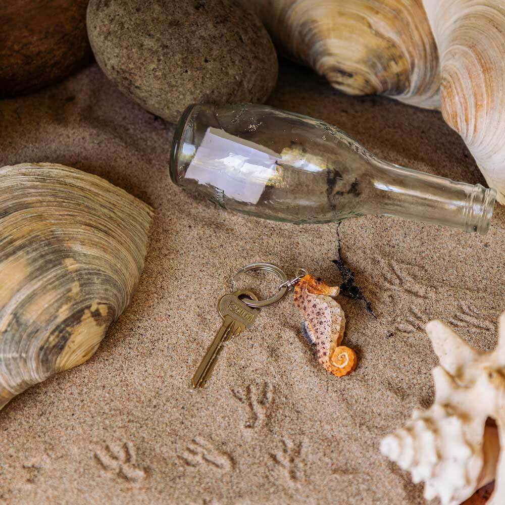 Eine Glasflasche, ein Schlüssel mit dem "Handgefertigten Schlüsselanhänger aus Holz | Seepferd" von Wildlife Garden und große Muscheln liegen auf sandigem Grund mit Tierspuren - eine charmante maritime Geschenkidee.