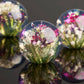 Drei durchsichtige Harzkugeln mit konservierten gemischten Blumen aus Hafod Grange ruhen auf einer spiegelnden Oberfläche. Der Briefbeschwerer mit gemischter Flora zeigt Blüten in Weiß, Lila und Rosa - ideal als Schreibtisch-Accessoire.