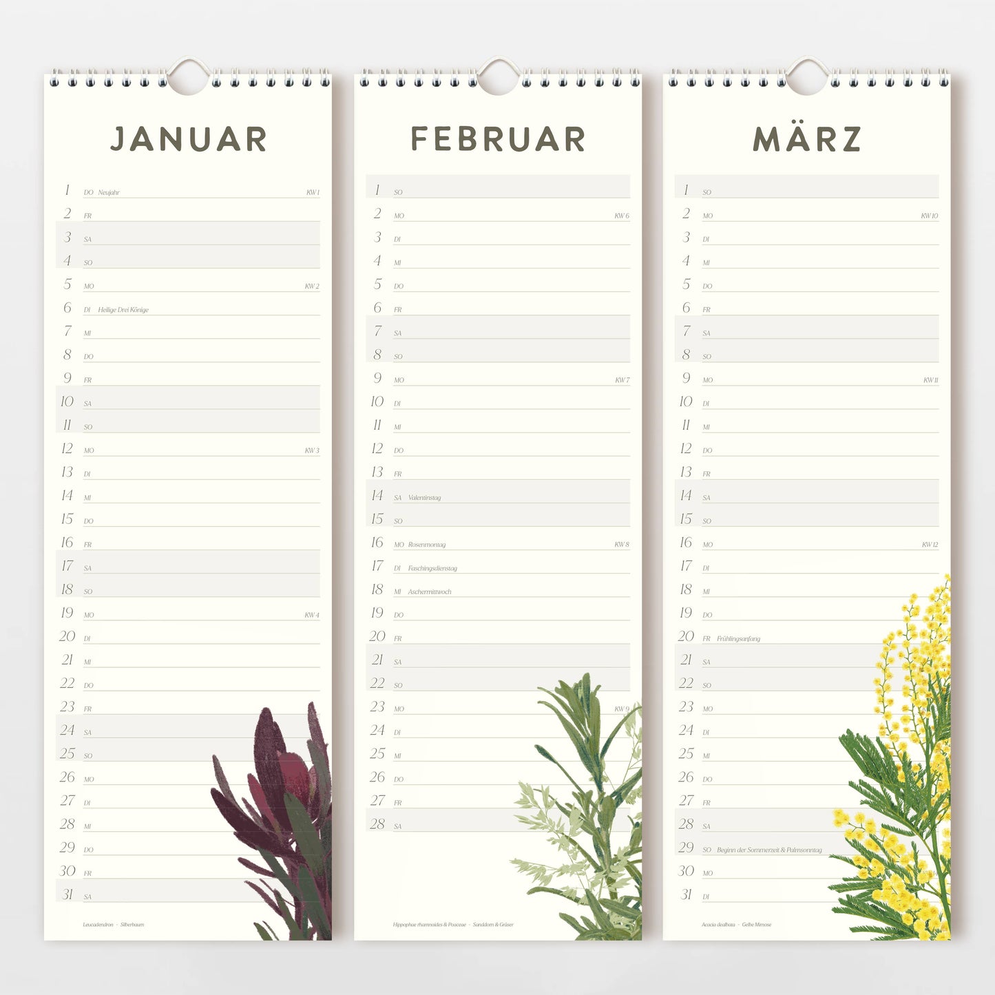 Der Wildblumen Atelier - Wandkalender 2026 zeigt im Januar, Februar und März verschiedene handgezeichnete Blumen auf FSC-zertifiziertem Naturpapier mit Tagesfreiräumen; Januar und März präsentieren dabei unterschiedliche Blumenmotive.