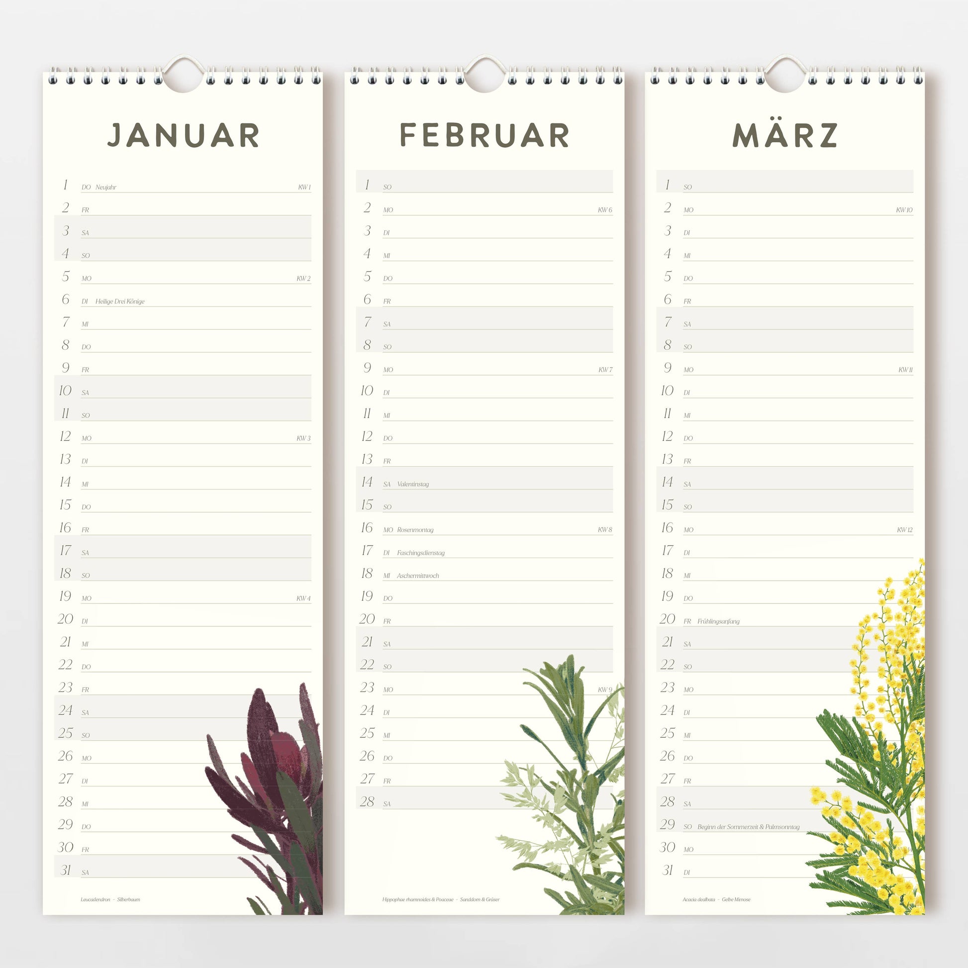 Der Wildblumen Atelier - Wandkalender 2026 zeigt im Januar, Februar und März verschiedene handgezeichnete Blumen auf FSC-zertifiziertem Naturpapier mit Tagesfreiräumen; Januar und März präsentieren dabei unterschiedliche Blumenmotive.