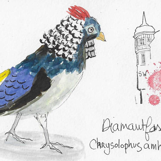 Freitag, 01.03.2024, 10.00 bis 13.00 Uhr - Aquarell-Workshop 