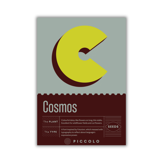 Piccolo Seeds – C – Kosmos von Piccolo Seeds zeichnet sich durch ein auffälliges, gelb-braunes, abstraktes C auf der Verpackung aus. Züchten Sie leuchtende, gänseblümchenartige Kosmeen (Kosmos bipinnatus) für Wildblumenwiesen oder als Schnittblumen. Modernes, minimalistisches Design.