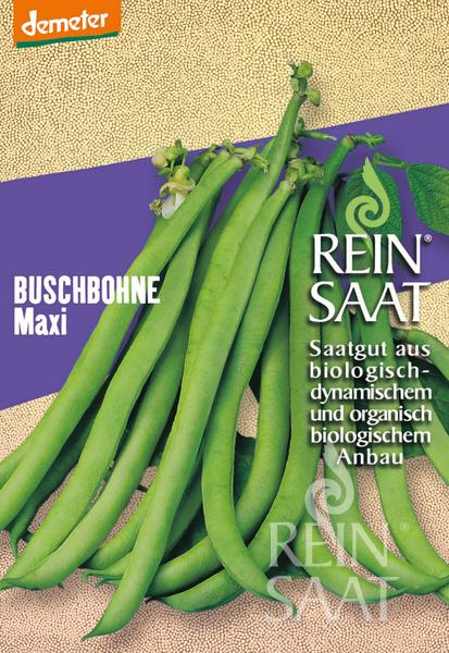 ReinSaat - Buschbohne 'Maxi'