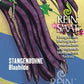 Eine Packung Reinsaat | Stangenbohne 'Blauhilde' zeigt lange, violette Bohnen mit grünen Blättern und lila Blüten. Der deutsche Text hebt diese ertragreiche Sorte von Reinsaat für die einfache Konservierung und den ökologischen Anbau hervor.