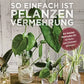 Das Buch "So einfach ist Pflanzenvermehrung" aus dem Bassermann Verlag zeigt verschiedene Stecklinge von Zimmerpflanzen in Glasgefäßen auf hellem Holzuntergrund - perfekt für alle, die die Vermehrung von Zimmerpflanzen einfach selbst ausprobieren wollen.