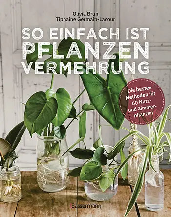 So einfach ist Pflanzenvermehrung.