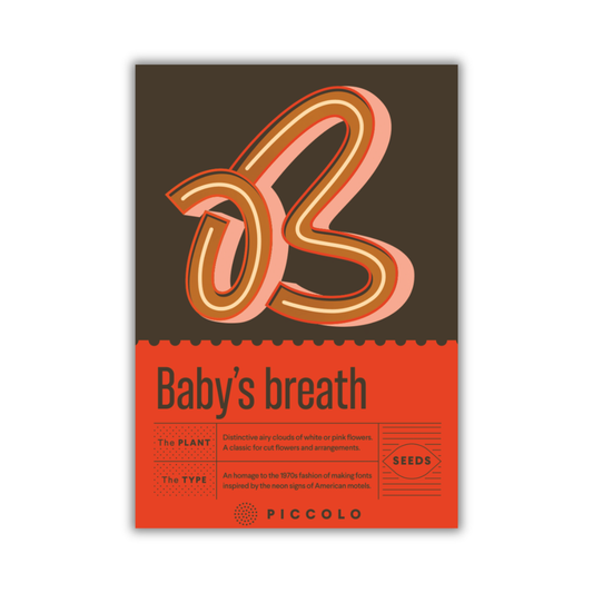 Eine Packung von Piccolo Seeds mit dem Titel „B – Der Atem des Babys“ zeigt ein kräftiges B und ein braun-oranges Design im Stil der 1970er Jahre mit Informationen zu Gypsophila paniculata – ideal für Schnittblumen der Marke Piccolo Seeds.