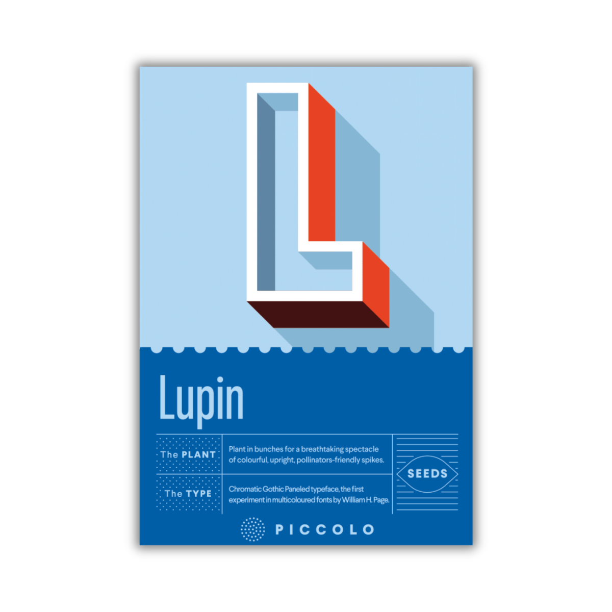 Die Piccolo Seeds - L - Lupine Packung von Piccolo Seeds zeigt ein auffälliges 3D "L" auf blauem Hintergrund, darunter "Lupin (Lupinus polyphyllus)" und bienenfreundliche Pflanzendetails sowie Anbauhinweise in weißer Schrift.