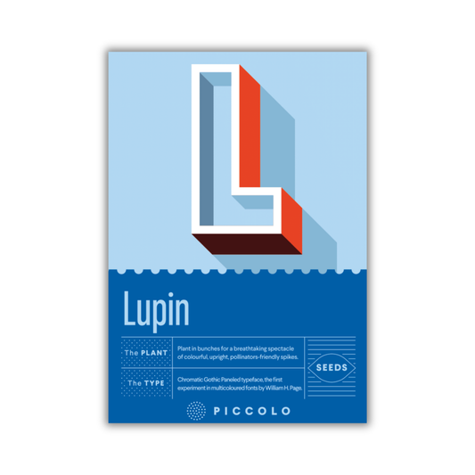 Die Piccolo Seeds - L - Lupine Packung von Piccolo Seeds zeigt ein auffälliges 3D "L" auf blauem Hintergrund, darunter "Lupin (Lupinus polyphyllus)" und bienenfreundliche Pflanzendetails sowie Anbauhinweise in weißer Schrift.