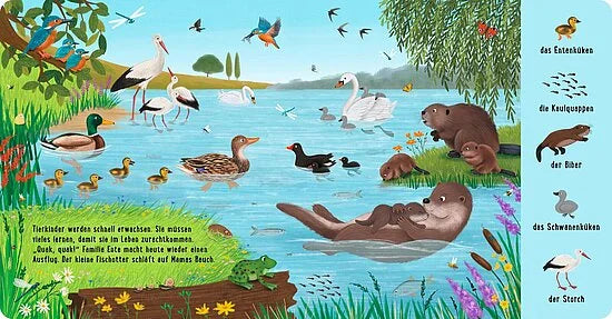 Die lebendige Teichszene aus "Mein 100 Tiere-Wimmelbuch" vom Esslinger Verlag zeigt Enten, Schwäne, Reiher, Frösche, Otter, Biber und Fische mit beschrifteten Tieren - perfekt für Kinderbordbücher ab 2 Jahren. Bäume und Gräser rahmen das Wasser ein.