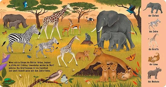 Eine lebendige afrikanische Savanne mit Elefanten, Löwen, Zebras und Giraffen. Auf der rechten Seite sind Tiere für Kinder auf Deutsch beschriftet - ideal für "Mein 100 Tiere-Wimmelbuch" vom Esslinger Verlag, ein perfektes Pappbilderbuch ab 2 Jahren.