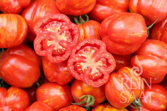 Ein Stapel leuchtend rot-orange gestreifter Reinsaat Tomate 'Red Cavern', von denen eine in der Mitte durchgeschnitten ist und ihr saftiges, geripptes Inneres preisgibt. Das ReinSaat-Logo erscheint in der unteren rechten Ecke.