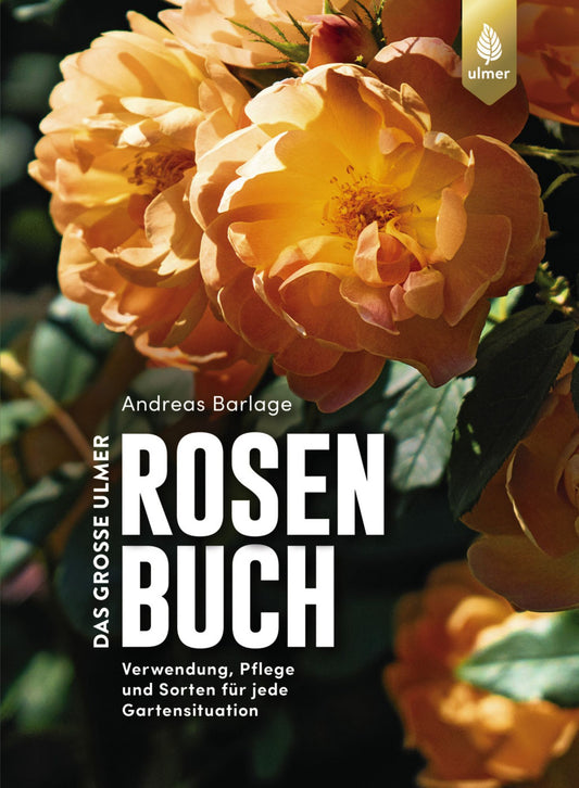 Titelbild von Das große Ulmer Rosenbuch des Ulmer Verlags, das gelb-orange Rosen im Sonnenlicht zeigt, mit Hinweisen zur Rosenpflege und -sorten. Titel und Logo des Ulmer Verlags erscheinen auf dem Bild.