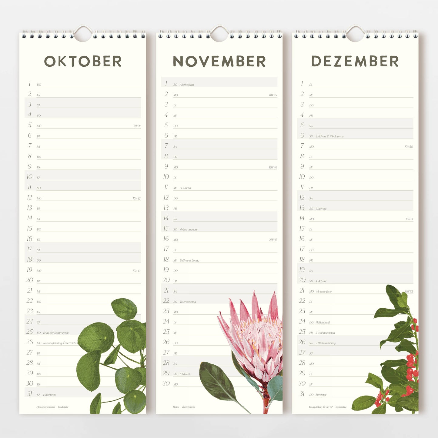 Der Wildblumen Atelier - Wandkalender 2026 zeigt handgezeichnete Blumenmotive und bietet für Oktober, November und Dezember auf Deutsch linierte Flächen für Notizen. Gedruckt auf FSC-zertifiziertem Naturpapier.