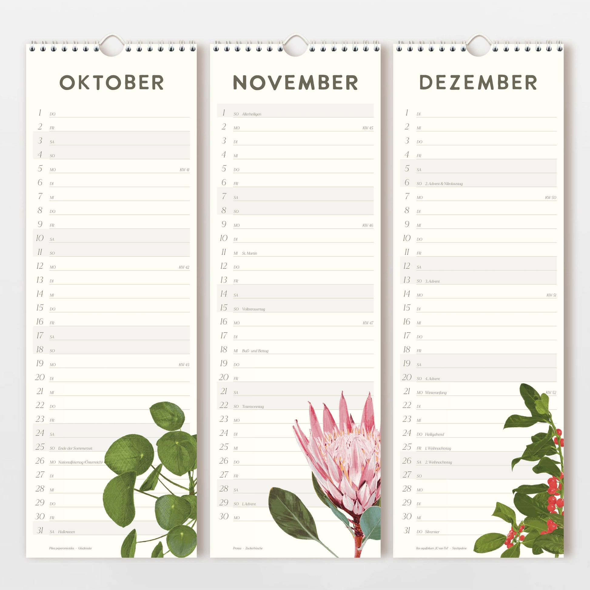 Der Wildblumen Atelier - Wandkalender 2026 zeigt handgezeichnete Blumenmotive und bietet für Oktober, November und Dezember auf Deutsch linierte Flächen für Notizen. Gedruckt auf FSC-zertifiziertem Naturpapier.