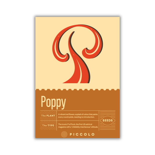 Eine Packung Piccolo Seeds – P – Mohnblume von Piccolo Seeds mit einer abstrakten roten Mohnblume auf hellbraunem Grund, der Aufschrift „Poppy“ mit Pflanzenart, Beschreibung und einem „SEEDS“-Siegel – ideal für Fans des Stils „Rote Blume“ oder „Puck Magazin“.