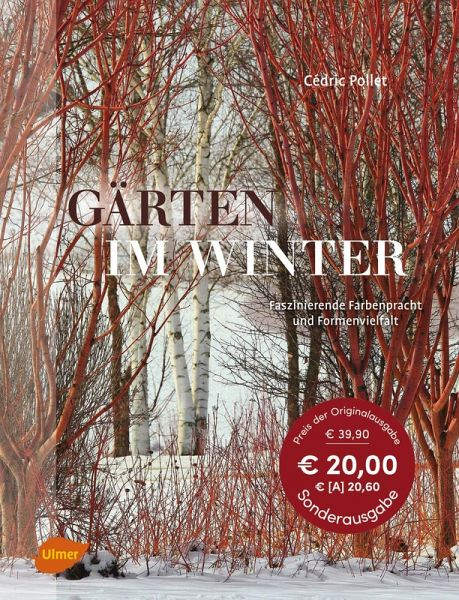 Das Buchcover von „Gärten im Winter“ des Verlags Eugen Ulmer zeigt blattlose rote Sträucher und Birken mit weißer Rinde in einem verschneiten Wintergarten, komplettiert durch Frost und Schnee, mit sichtbaren Aktionspreisschildern.