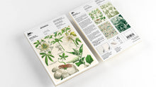 Lade das Bild in den Galerie-Viewer, Pepin Press - Botanical A5 Notizblock und Schreibpapier
