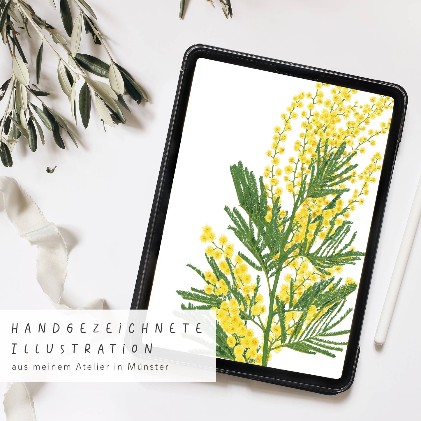 Ein Tablet zeigt eine handgezeichnete gelbe Mimose mit grünen Blättern auf Weiß, neben Stylus und Olivenzweigen. Oben steht: Wildblumen Atelier - Wandkalender 2026 mit handgezeichneten Blumen, FSC.