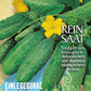 Reinsaat - Einlegegurke ‚Vorgebirgstrauben‘-Samenpaket zeigt grüne Gurken mit gelben Blüten und grünen Blättern, gekennzeichnet als biologisch und biodynamisch – ideal für die Herstellung von Gewürzgurken.
