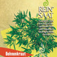 ReinSaat - Bohnenkraut